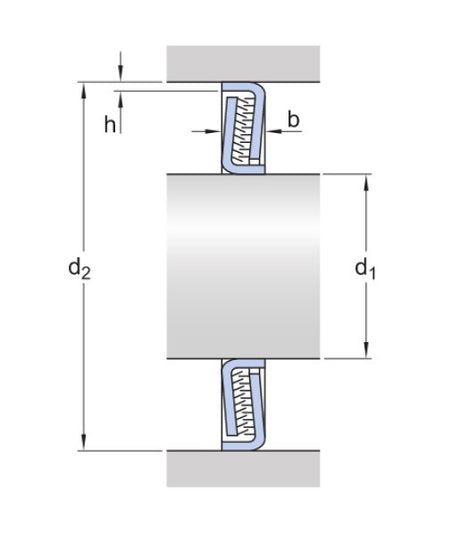 SKF Z 005 F tätande bricka