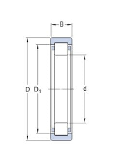SKF RNU 202 ECP kullager