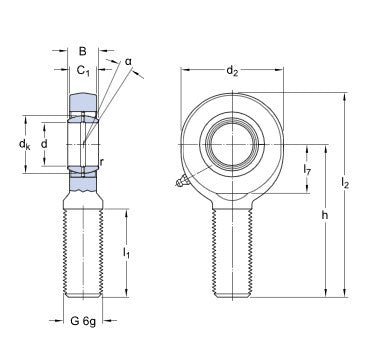 SKF SAL 25 ES ledad huvud
